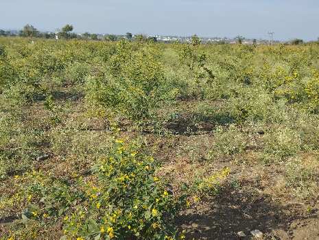 8 Guntha Agricultural/Farm Land for Sale in Chincholi, Gulbarga