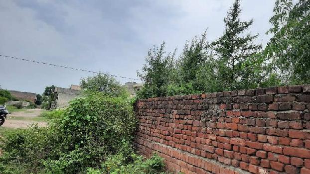 520 Sq. Yards Residential Plot For Sale In Rajpura Road, Patiala