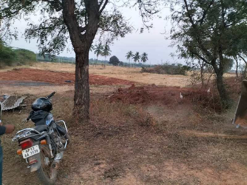 8 Ares Agricultural/Farm Land for Sale in Shadnagar, Hyderabad