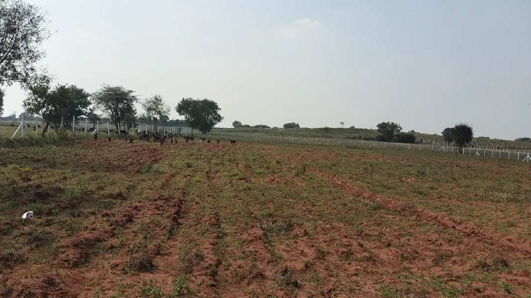 1 Acre Agricultural/Farm Land for Sale in Manneguda, Hyderabad