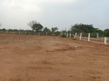 2 Acre Agricultural/Farm Land for Sale in Shabad, Rangareddy