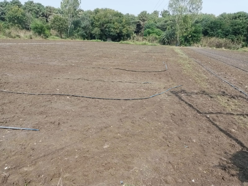 2 Acre Agricultural/Farm Land for Sale in Telangana
