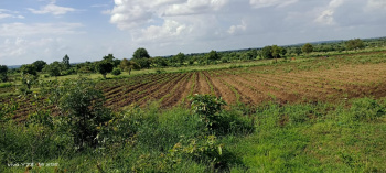 1 Acre Agricultural/Farm Land for Sale in Anantagiri Hills, Vikarabad