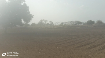 1 Ares Agricultural/Farm Land for Sale in Shadnagar, Hyderabad