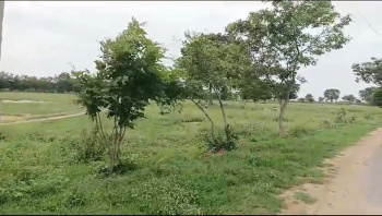 2.23 Acre Agricultural/Farm Land for Sale in Kandukuru, Hyderabad