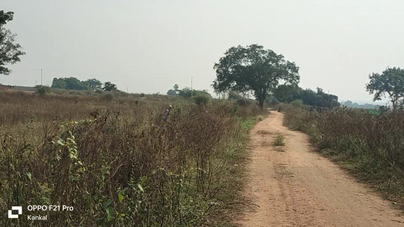 1.5 Acre Agricultural/Farm Land For Sale In Domalguda, Hyderabad