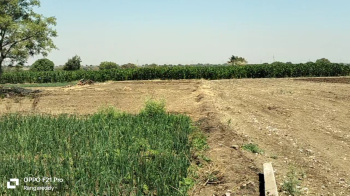 1 Acre Agricultural/Farm Land for Sale in Gachibowli, Hyderabad