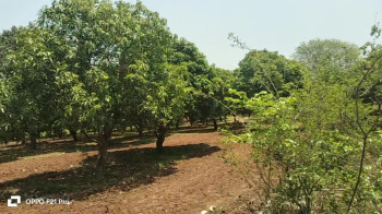 2 Acre Agricultural/Farm Land for Sale in Mominpet Mandal, Vikarabad
