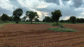 Agricultural/Farm Land for Sale in Mucherla, Hyderabad (16 Acre)