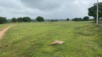 Agricultural/Farm Land for Sale in Chevella, Hyderabad (100 Acre)