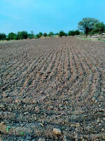 2 Ares Agricultural/Farm Land for Sale in Shabad, Rangareddy