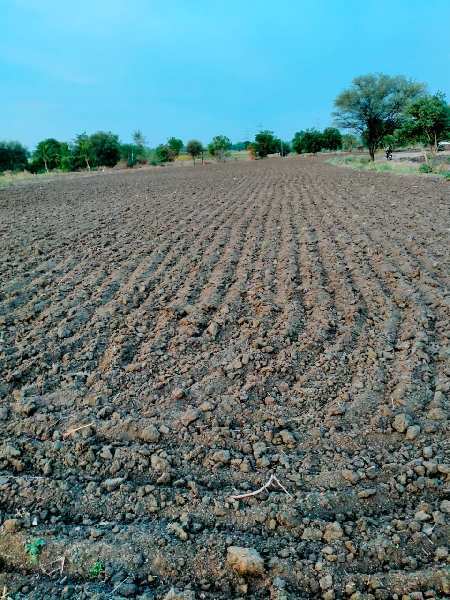 2 Ares Agricultural/Farm Land For Sale In Shabad, Rangareddy