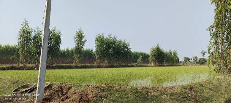 Property for sale in Shabad, Rangareddy