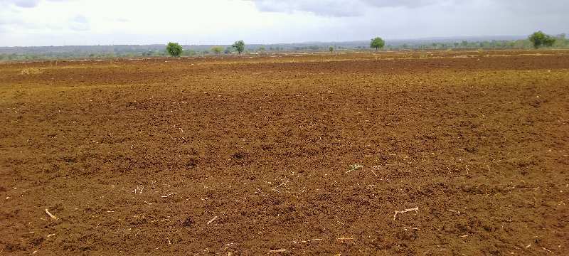 2 Acre Agricultural/Farm Land for Sale in Shabad, Rangareddy
