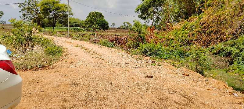 5 Acre Agricultural/Farm Land for Sale in Shabad, Rangareddy