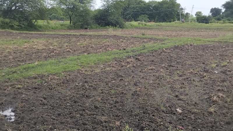 7 Acre Agricultural/Farm Land for Sale in Kondurg, Mahbubnagar