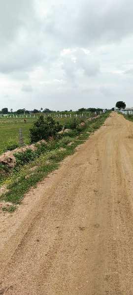 3 Acre Agricultural/Farm Land For Sale In Telangana