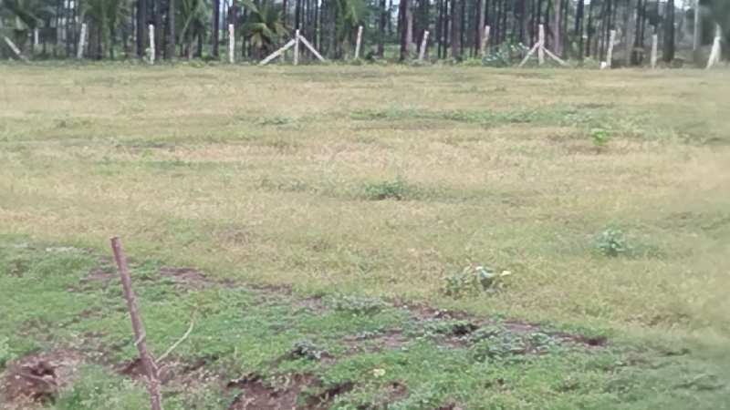 4.5 Acre Agricultural/Farm Land for Sale in Shabad, Rangareddy