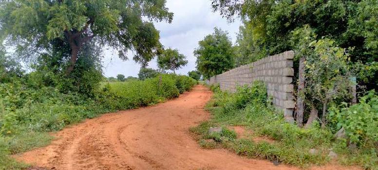 3 Acre Agricultural/Farm Land for Sale in Shabad, Rangareddy
