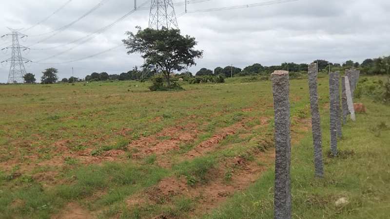 12 Acre Agricultural/Farm Land for Sale in Shabad, Rangareddy
