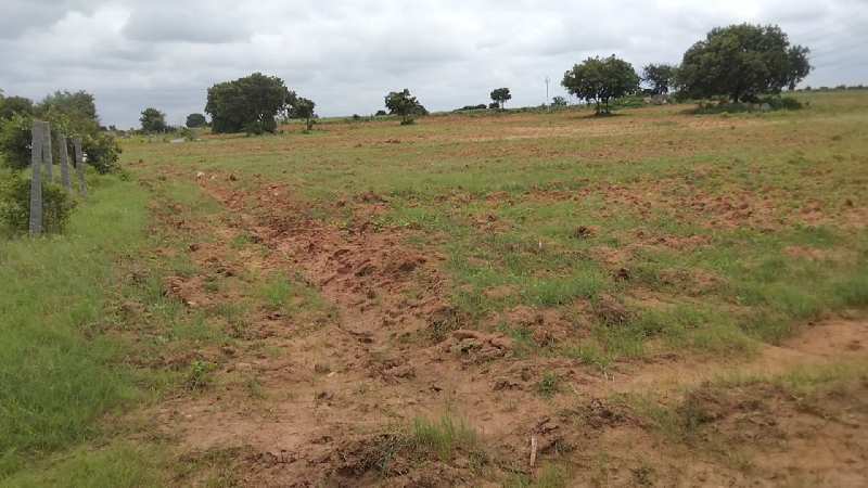 1 Acre Agricultural/Farm Land for Sale in Tukkuguda, Hyderabad