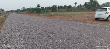 Farm House for Sale in Mandir Hasaud, Raipur (4000 Sq.ft.)
