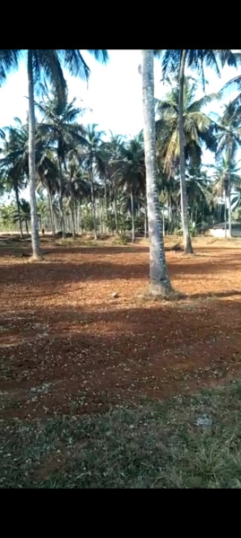 Agriculture farm land sale near doddaballapura