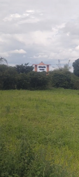 Agriculture farm land in isha foundation road