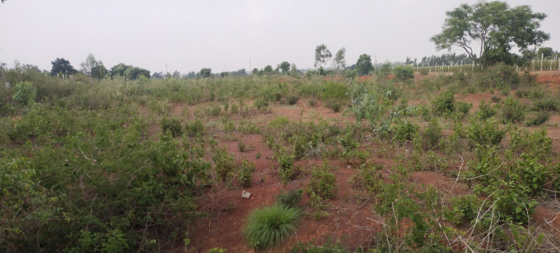 2 Ares Agricultural/Farm Land for Sale in Nandi Hills, Bangalore