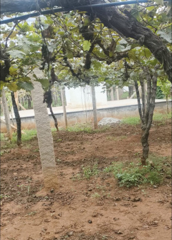 Property for sale in NH 44, ChikBallapur