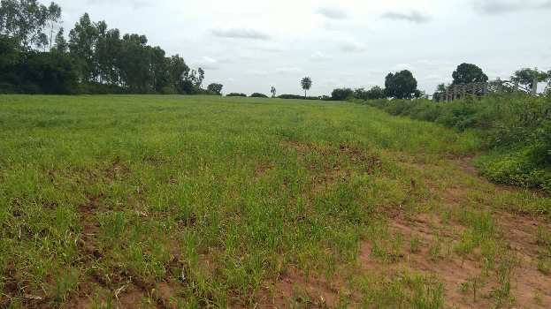 2.1 Acre Agricultural/Farm Land for Sale in Devanahalli, Bangalore