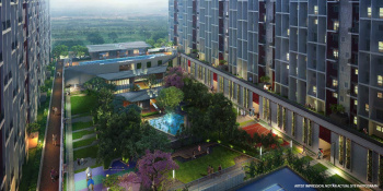 2 BHK Flats & Apartments for Sale in Hinjewadi Phase 3, Pune (450 Sq.ft.)