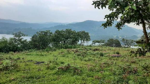 8 Acre Agricultural/Farm Land for Sale in Aundh, Pune