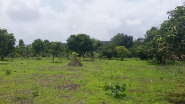 Agriculture land at prime location.