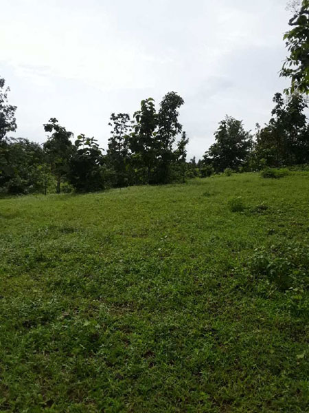 Residential Open Plot available for sale in Thane