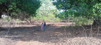 Agricultural Plot For Sale In Mirle Khed Ratnagiri