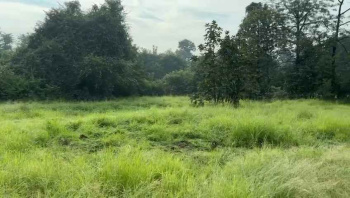 10 Acre For Sale At Dapoli, Ratnagiri Dist.