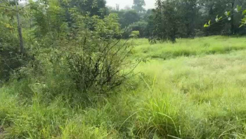 Property for sale in Dapoli, Ratnagiri
