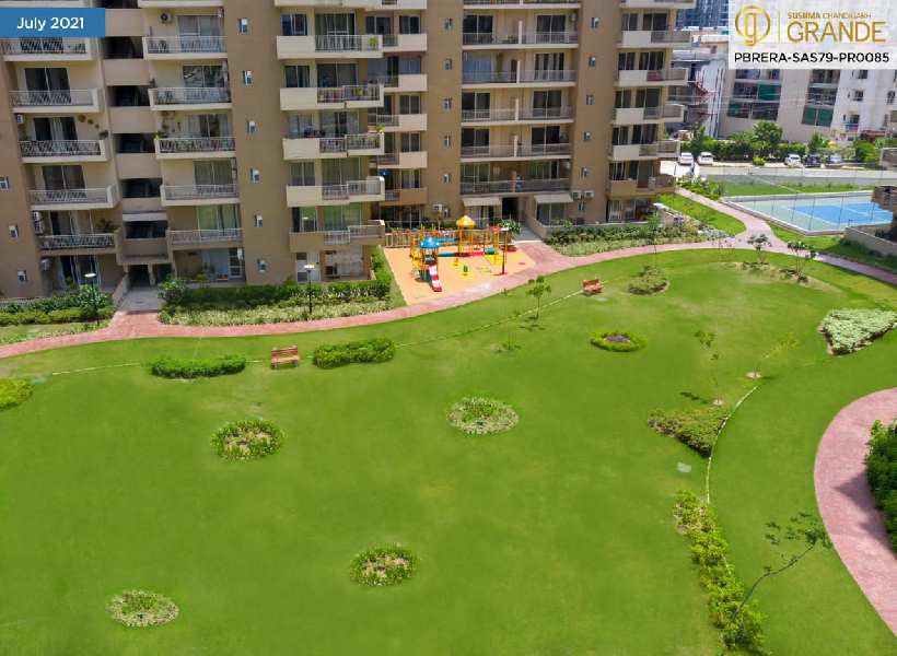 3 BHK Flats & Apartments For Rent In Ambala Highway, Zirakpur (1540 Sq.ft.)