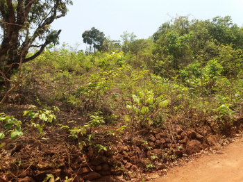 Property for sale in Pawas, Ratnagiri