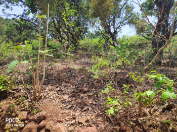 Property for sale in Pawas, Ratnagiri