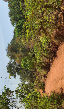 Property for sale in Pawas, Ratnagiri