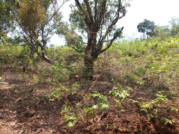 Property for sale in Pawas, Ratnagiri
