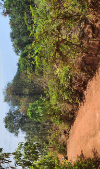 Property for sale in Pawas, Ratnagiri
