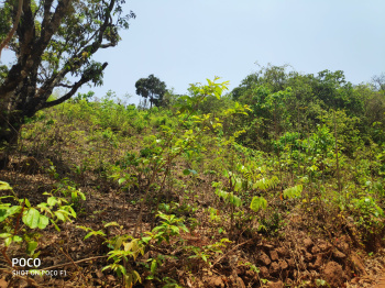 Property for sale in Pawas, Ratnagiri