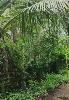Property for sale in Murud, Raigad