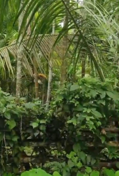 Property for sale in Murud, Raigad