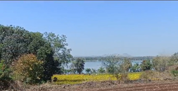 Residential Plot for Sale in Dyane, Nashik (1 Acre)