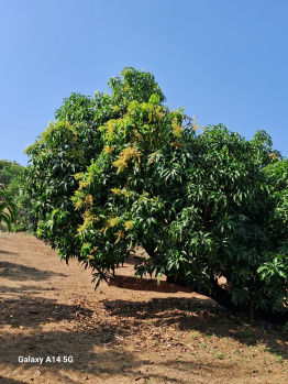 Property for sale in Devrukh, Ratnagiri