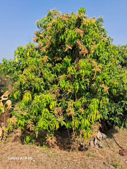 Property for sale in Devrukh, Ratnagiri